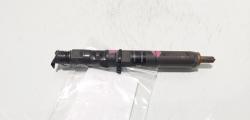 Injector Delphi, cod 166000897R, H8200827965, Renault Clio 3 1.5 DCI, K9K770 (id:703401)