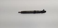 Injector, cod 9686191080, EMBR00101D, Ford Galaxy 2 2.0 TDCI, UFWA (id:719519)