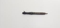Injector, cod 9686191080, EMBR00101D, Land Rover Range Rover Evoque 2.2CD4, 224DT (id:719393)