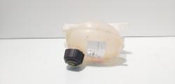 Vas expansiune, cod 217107259R, Renault Captur 1.5 DCI, K9K608 (id:720363)