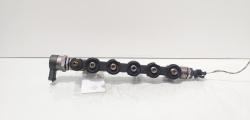 Rampa injectoare cu 2 senzori, cod 8200942721, 0445214173, Renault Koleos 2 2.0 DCI, M9R868 (id:722498)
