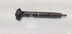 Injector Delphi, cod A6510704987, Mercedes Clasa E (W212) 2.2 CDI, OM651924 (id:721606)