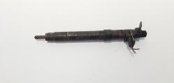Injector, cod 9686191080, EMBR00101D, Ford Galaxy 2 2.0 TDCI, UFWA (id:722305)
