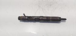 Injector, cod 8200132793, EJBR01401Z, Renault Kangoo 1 Express 1.5 DCI, K9K740 (id:721482)