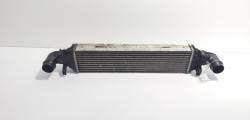 Radiator intercooler, cod A2045000200, Mercedes Clasa C T-Model (S204) 2.2 CDI, OM651911 (id:723037)