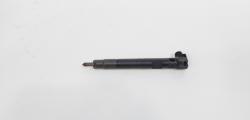Injector Delphi, cod A6510702887, Mercedes Clasa E (W212) 2.2 CDI, OM651924 (id:732021)