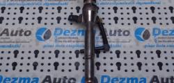 Injector,cod 166009445R, Nissan Note (E11) 1.5dci (id:205228)