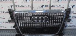 Grila bara fata centrala cu sigla si senzori, 8R0853651, Audi Q5 (8R)