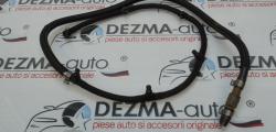 Rampa retur injectoare, Bmw 3 cabriolet (E46) 3.0 benz, 306D3 (id:278979)