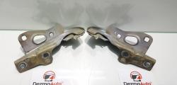 Set balamale capota fata, Seat Ibiza 5 Sportcoupe (6J1) din dezmembrari