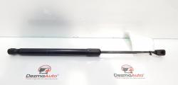 Telescop haion, enault Megane 3 combi, cod 904510001R (id:272920)