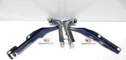 Set balamale capota fata, Peugeot 207 SW