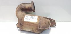 Catalizator Renault Kangoo 2 Express, 1.5 dci, 8200819310