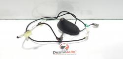 Antena radio, Citroen C5 (III) [Fabr 2008-prezent] 966454180 (id:403951)