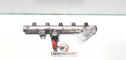 Rampa injectoare, Citroen C5 (II) [Fabr 2004-2008], 2.0 hdi, RHR, 9645689580