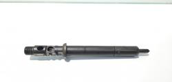 Injector, 9640945980 Citroen C3 (I) 1.4 HDI, DELPHI (id:453497)