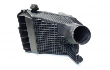 Carcasa filtru aer, cod 8200369798, Renault Megane 2 Coupe-Cabriolet, 1.5 DCI, K9K728 (idi:465768)