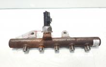 Rampa injectoare cu senzor, cod 8200701690, Renault Megane 2, 1.5 DCI, K9KP732 (id:466966)