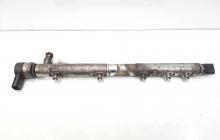 Rampa injectoare cu senzori, cod A6460701895, 0445214161, Mercedes Vito Autobus (W639) 2.2 CDI, OM646985 (idi:466590)