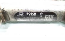 Rampa injectoare cu senzori, cod A6460701895, 0445214161, Mercedes Sprinter 3-t (906), 2.2 CDI, OM646989 (idi:466590)