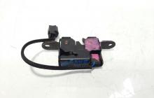 Broasca capota fata, cod 656010010P, Renault Megane 3 Combi (id:236821)