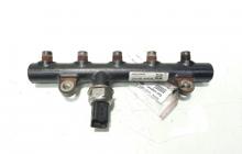 Rampa injectoare, cod 9656391180, Peugeot 407 SW, 2.0 hdi, RHR (id:470253)