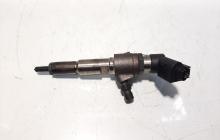 Injector, cod 9674973080, Ford Tourneo Connect, 1.6 TDCI, TZGA (pr:110747)