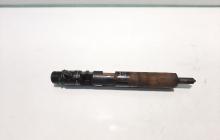 Injector, cod 8200206565, EJBR01801Z, Renault Megane 2 Coupe-Cabriolet, 1.5 DCI, K9K722 (idi:456468)