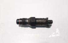 Injector, cod LCR6736001, Peugeot 206, 1.9 d, WJY (idi:474146)