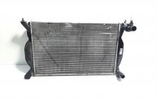 Radiator racire apa, cod 8E0121251A, Audi A4 Avant (8ED, B7), 2.0 TDI, BLB (idi:467676)