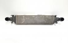 Radiator intercoooler, Mercedes Clasa C (W204)2.2 cdi, OM646811 (id:351938)