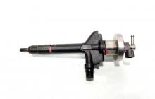 Injector, cod 13H50A, Mazda MPV 2 (LW) 2.0 D, RF5C (id:486761)