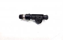 Injector, cod 25317316, Opel Astra G Sedan (F69) 1.6 benz, Z16SE (id:531793)