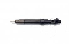 Injector, cod 9686191080, EMBR00101D, Ford Grand C-Max, 2.0 TDCI, TXDB (idi:529998)