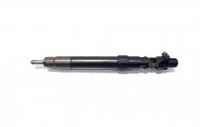 Injector, cod 9686191080, EMBR00101D, Ford S-Max 1, 2.0 TDCI, TXWA (idi:529998)