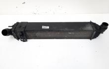 Radiator intercooler, cod 144960001R, Renault Laguna 3 Coupe, 2.0 DCI, M9R802 (idi:555081)