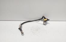 Borna baterie cu senzor, cod 5C0915181B, Vw Beetle (5C1) (id:570852)