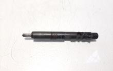 Injector Delphi, cod 166000897R, H8200827965, Renault Clio 3, 1.5 DCI, K9K770 (id:572095)