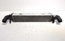 Radiator intercooler, cod 42045000200, Mercedes Clasa E (W212), 2.2 CDI, OM651925 (id:578117)