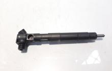 Injector Delphi, cod A6510704987, Mercedes Clasa C T-Model (S204), 2.2 CDI, OM651911 (idi:588688)