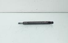 Injector, cod TJBB02601D, Ford Transit, 2.0 TDDI, D3FA (id:592294)