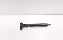 Injector Delphi, cod A6510702887, Mercedes Clasa C T-Model (S204), 2.2 CDI, OM651911 (idi:600325)