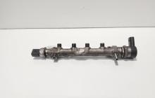 Rampa injectoare cu senzori, cod 04L089B, VW Golf 7 Sportsvan (AM1, AN1), 2.0 TDI, CRL (idi:627584)