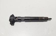 Injector Delphi, cod A6510704987, Mercedes Clasa E (W212), 2.2 CDI, OM651924 (id:635701)