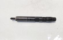 Injector Delphi, cod 28237259, 8200827965, Renault Kangoo 2, 1.5 DCI, K9K808 (idi:644085)