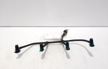 Rampa retur injectoare, Land Rover Range Rover Evoque, 2.2 DT, 224DT (idi:597943)