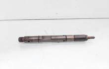 Injector, cod 059130201F, 0432133795, Audi A6 (4B2, C5) 2.5 TDI, BFC (id:651866)