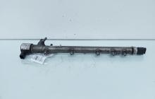 Rampa injectoare cu senzori, cod A6460700395, Mercedes Clasa E (W211), 2.2 CDI, OM646821 (id:652597)