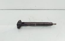 Injector Delphi, cod A6510702887, Mercedes Clasa E (W212), 2.2 CDI, OM651924 (id:653788)