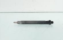 Injector, cod 9686191080, EMBR00101D, Ford Galaxy 2, 2.0 TDCI, UFWA (id:656828)